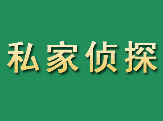 廛河市私家正规侦探